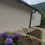Lenilenii *
