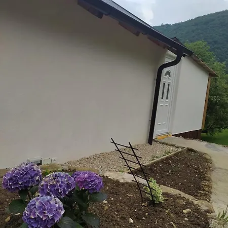 Lenilenii *