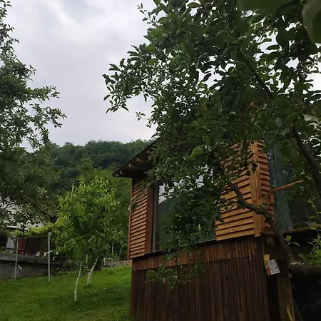 Lenilenii * Jajce